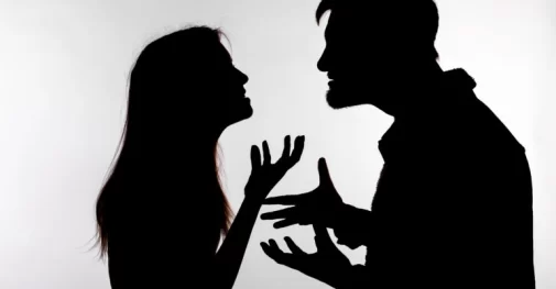 What are domestic investigation services used for?