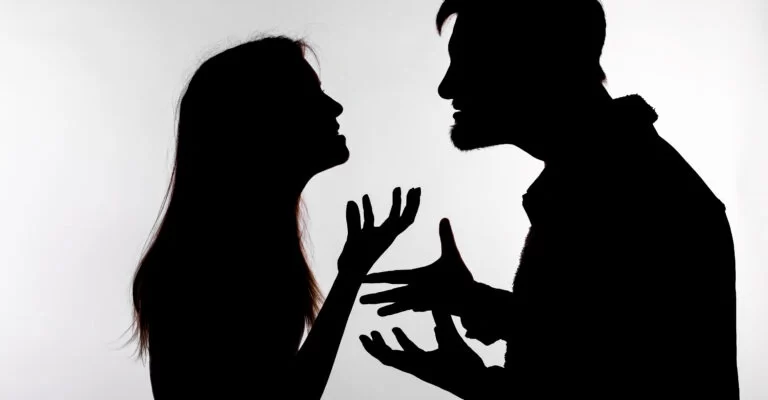 What are domestic investigation services used for?