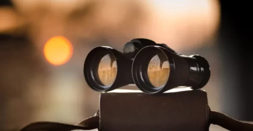 What Should I Do if I Think My Home or Business is Being Spied On?